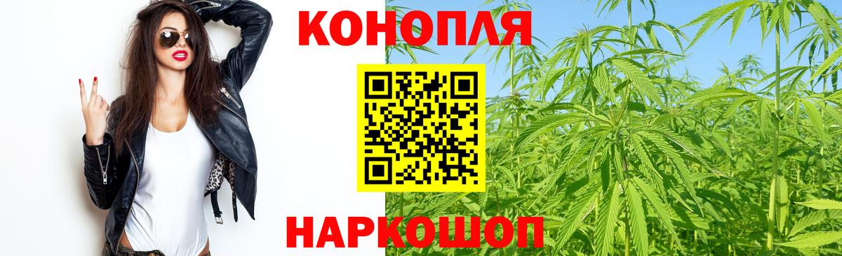 Бошки Шишки SATIVA & INDICA  Марихуана гибрид  Кушва  Вход с VPN  Шишки марихуана MAZAR 