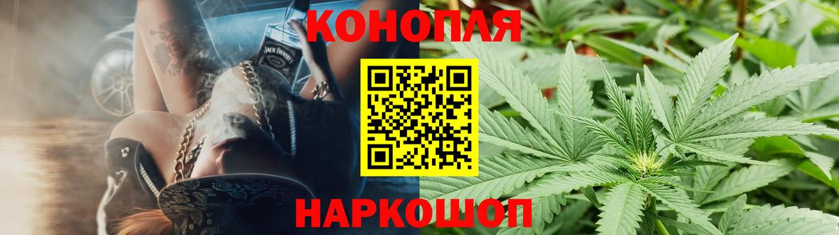 Каннабис конопля Кушва